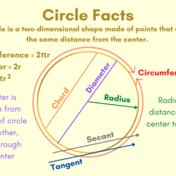 Area and circumference coloring activity answer key