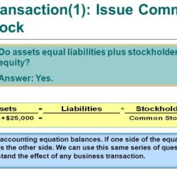 Materia assignment #3 - accounting equation normal balances